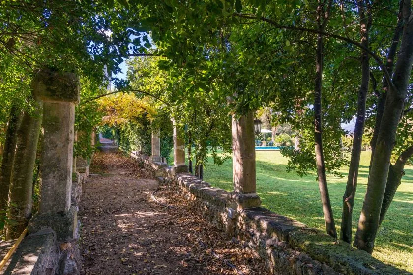 Un sendero sombreado junto a un muro bajo de piedra y un césped verde.
