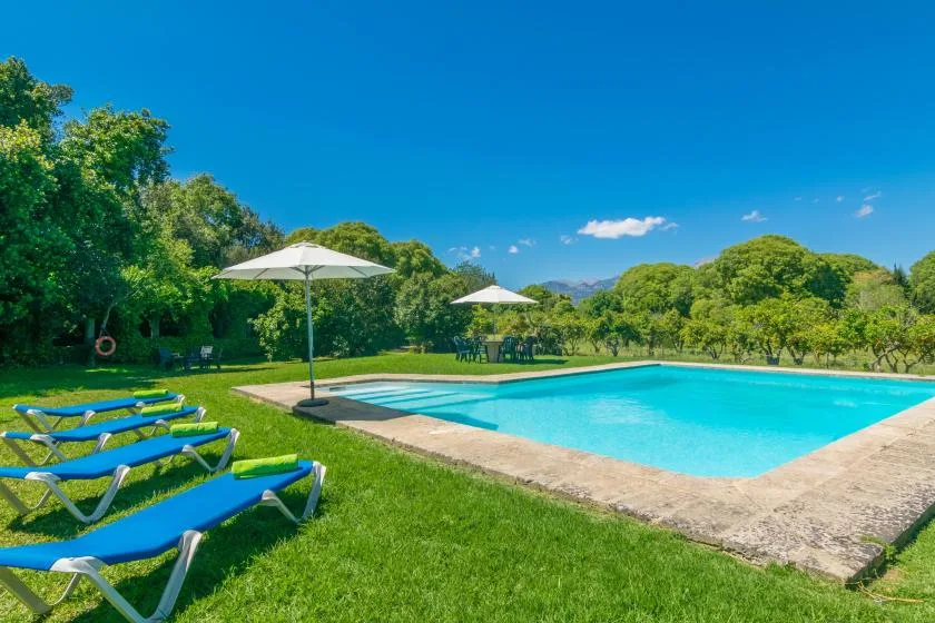 An outdoor swimming pool sits beside a grassy lawn with lounge seating and umbrellas.