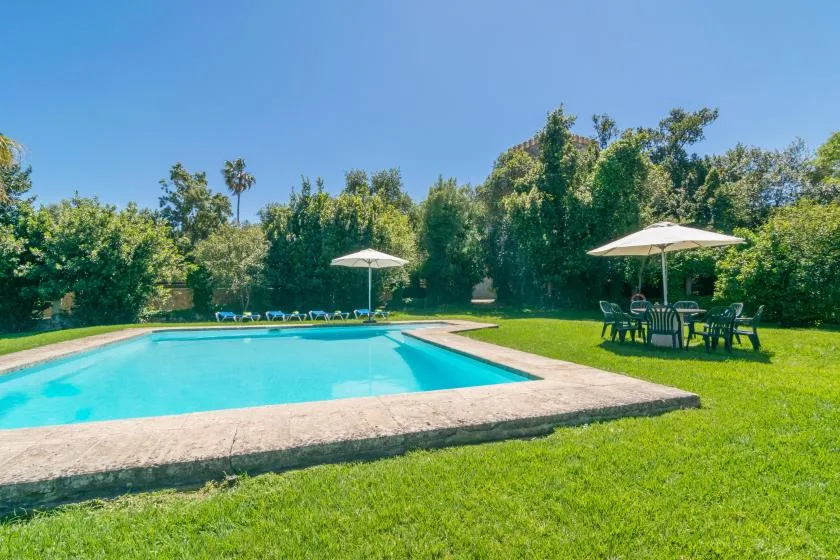 Una piscina está junto a un césped verde, con asientos al aire libre bajo una sombrilla.