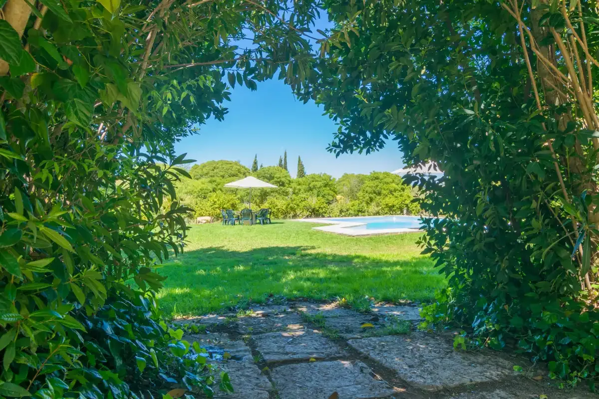 Un sendero de jardín enmarcado por ramas frondosas conduce a un césped y una piscina.
