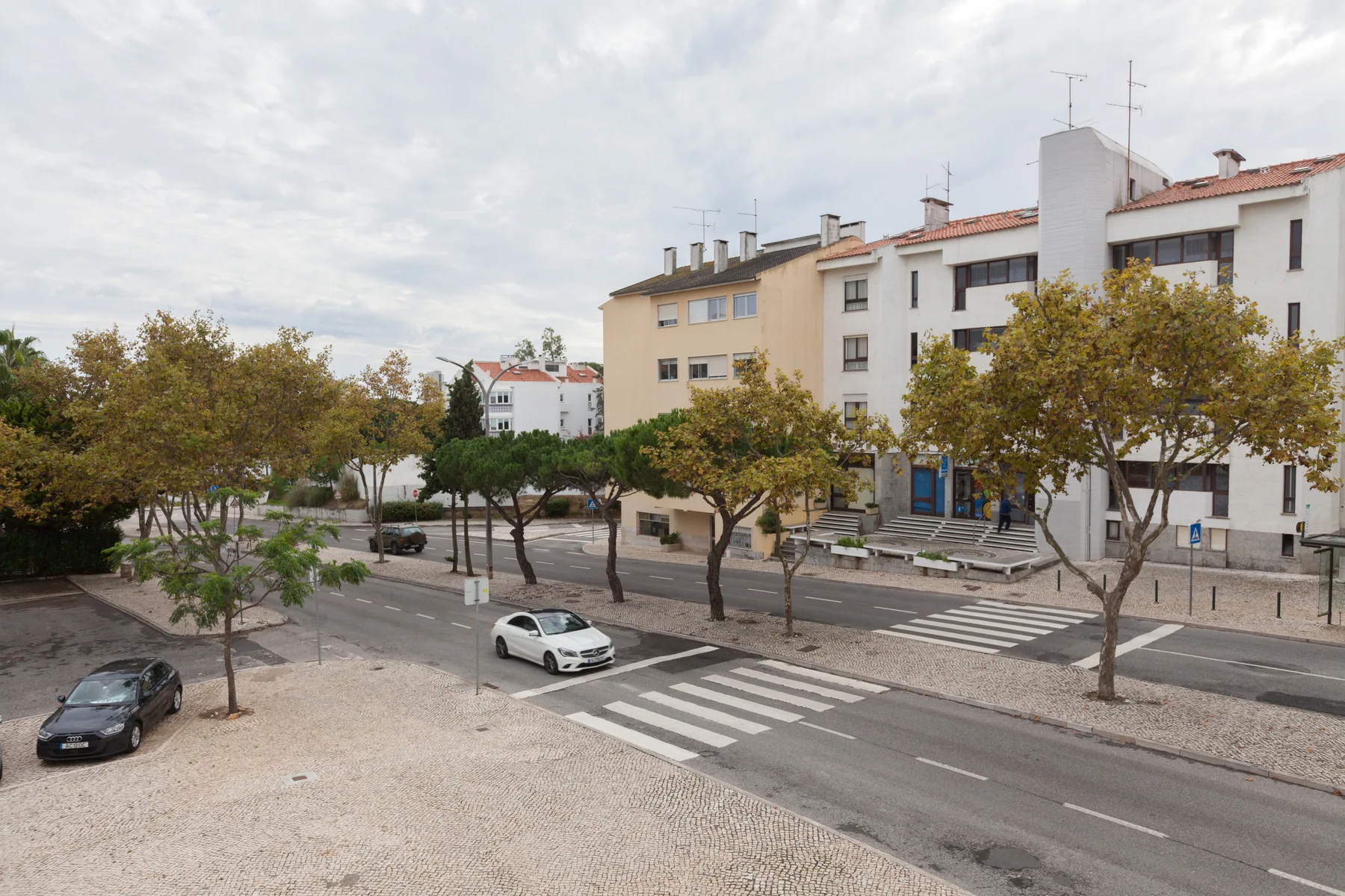 A tree-lined street with crosswalks and apartment buildings under a cloudy sky.
