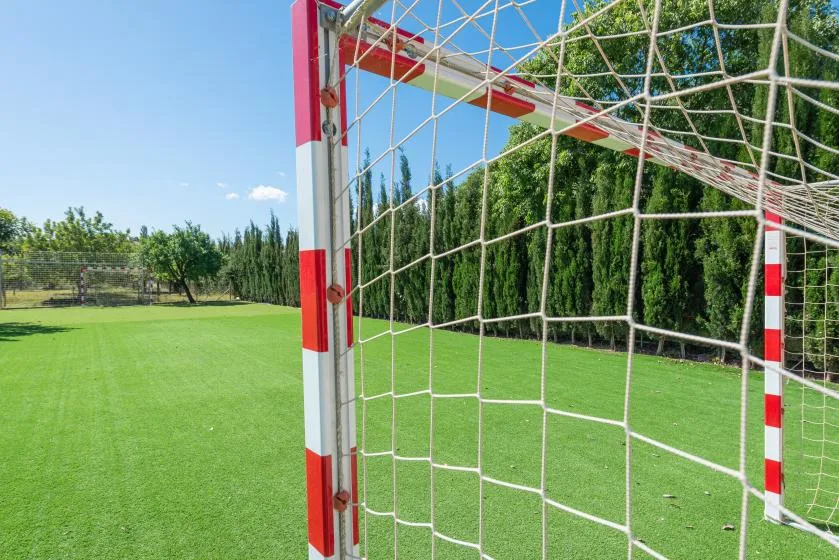 A soccer goal stands on a green outdoor field bordered by trees.