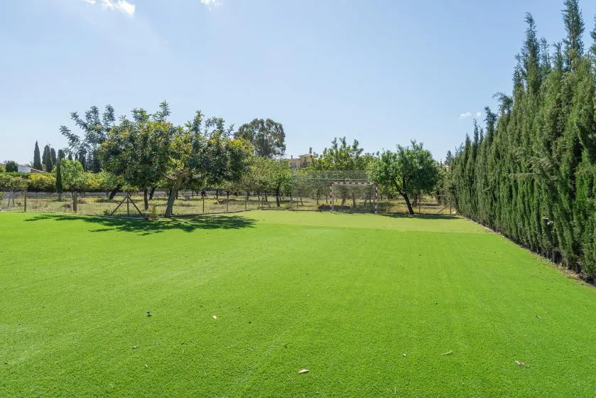 A broad green lawn bordered by trees and shrubs under a clear sky.