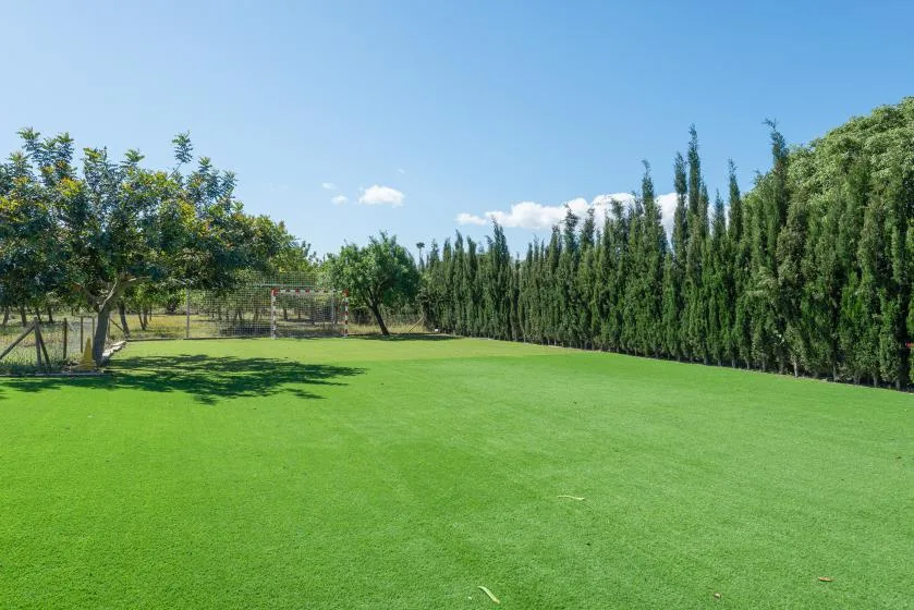 A broad green lawn bordered by trees and tall hedges under a clear sky.