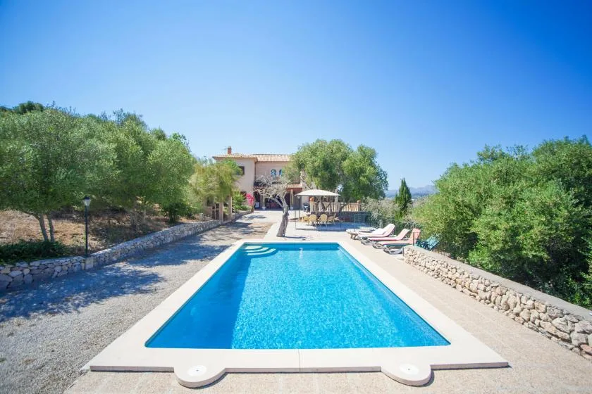 An outdoor swimming pool sits beside a stone wall and landscaped greenery.