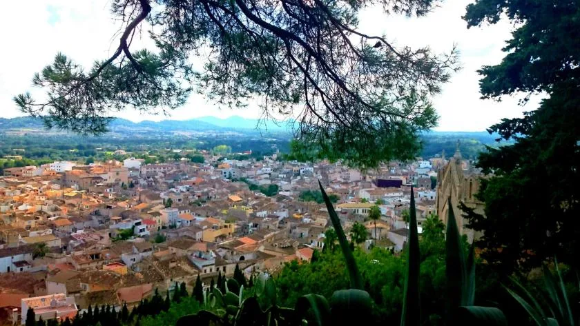 A hillside view overlooks a town with distant mountains beneath overhanging trees.