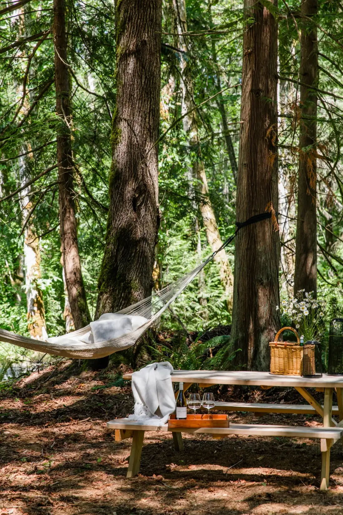 Emerald Acres with Tiny House