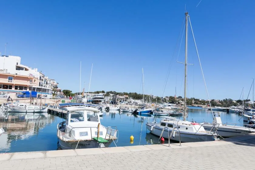 A marina filled with moored boats sits beside a paved waterfront promenade.