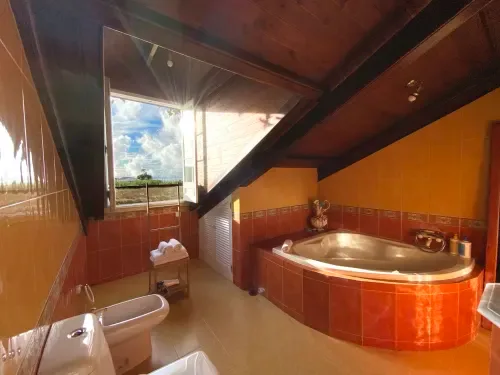 Charming Suite bathroom