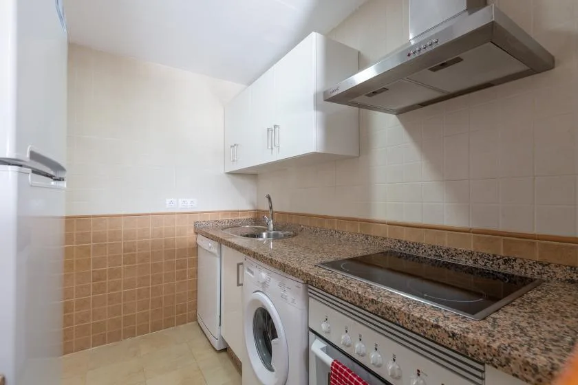 A compact kitchen with a countertop sink, cooktop, and washing machine.