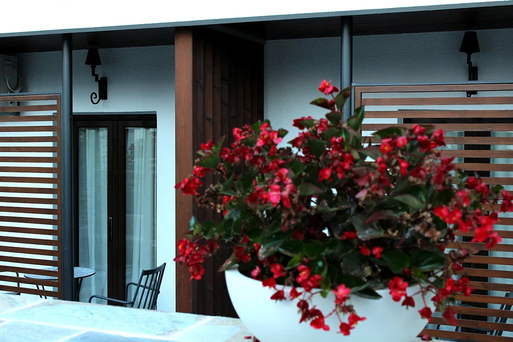 Hotel Makedonia property
