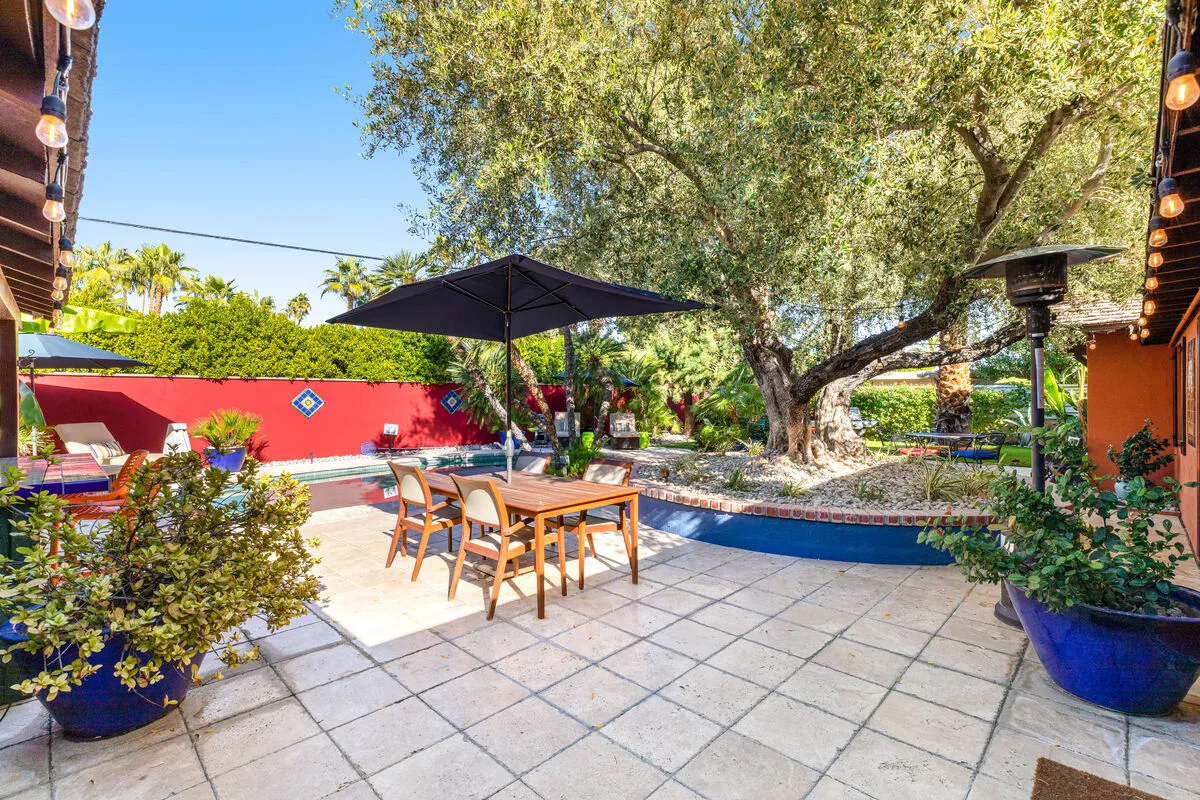 Oliver's Oasis - 2446