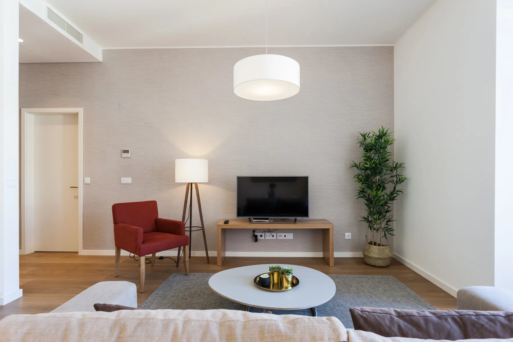 Sala de estar con televisión, asientos y una planta en maceta.