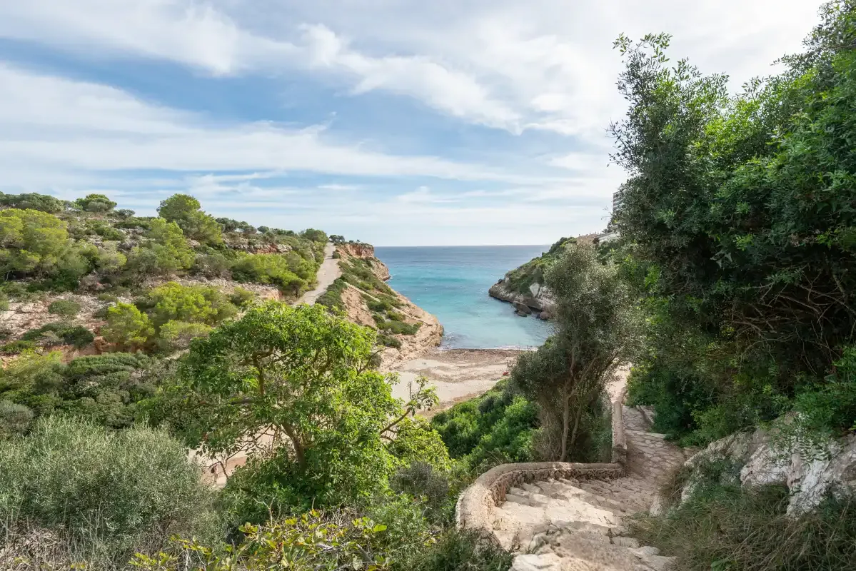 A coastal cove with a narrow path descending through green vegetation toward the sea.