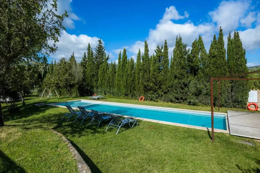 An outdoor swimming pool sits beside a grassy lawn, with tall trees in the background.