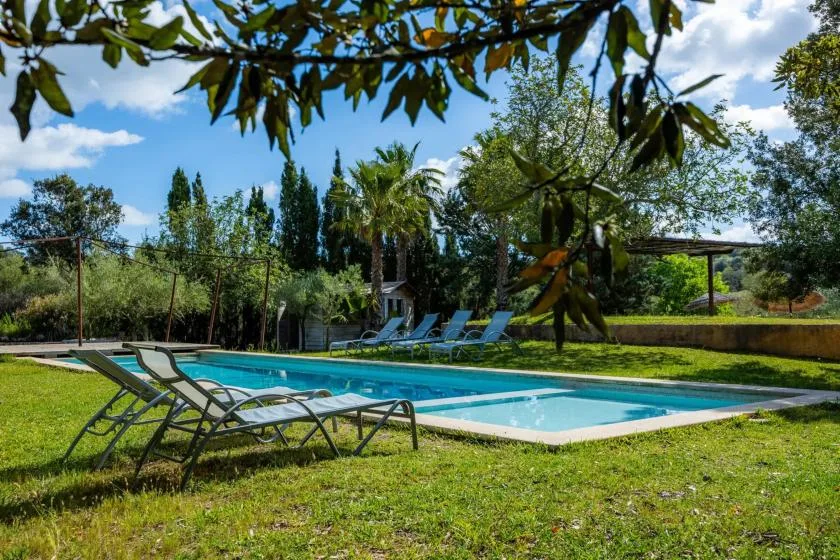 An outdoor swimming pool is surrounded by green lawn, trees, and reclining seating.
