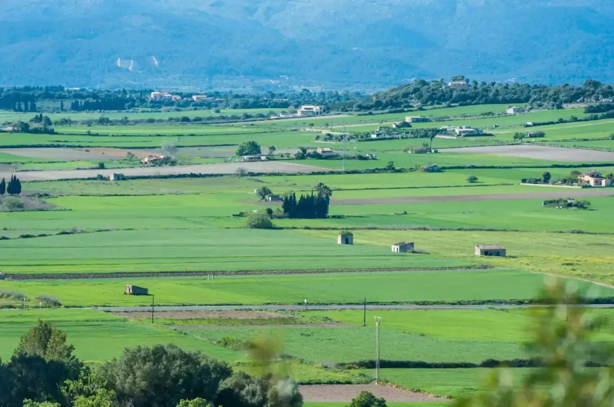 Holiday rentals in Woodhouse, Ariany