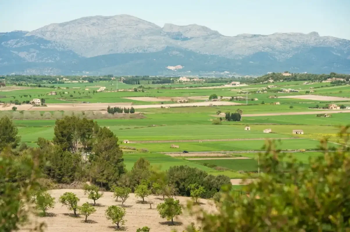 Holiday rentals in Woodhouse, Ariany