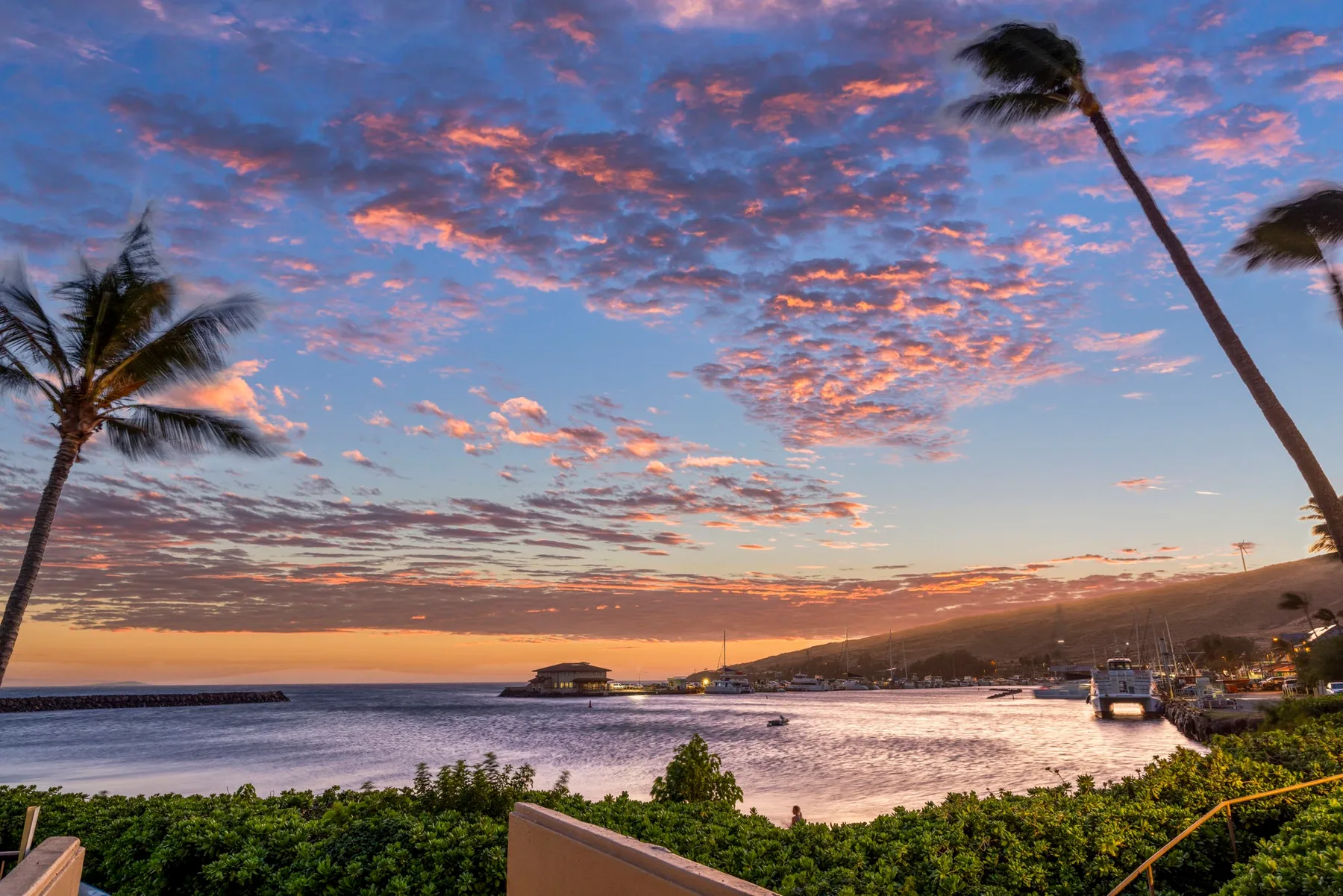 A coastal bay at sunset, with palm trees framing the colorful sky.