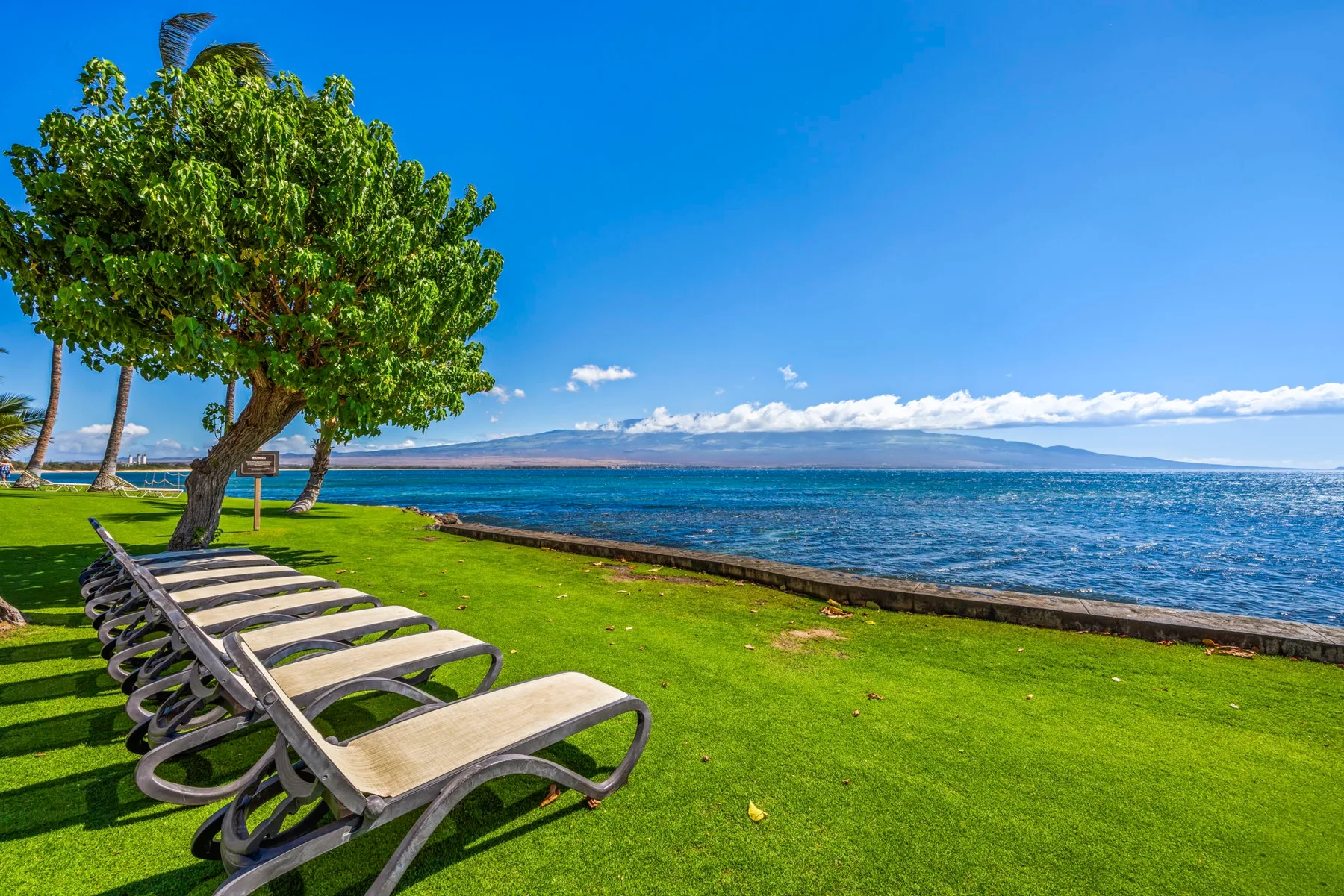 Lawn beside the water, with lounge chairs under leafy trees.