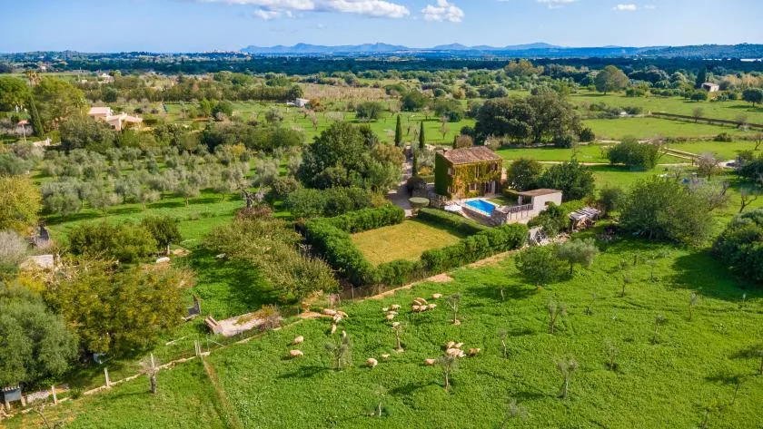 Un paisaje rural con campos verdes, árboles dispersos y una pequeña piscina.