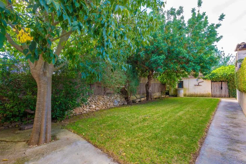Un jardín frondoso con césped, árboles maduros y un camino de piedra.