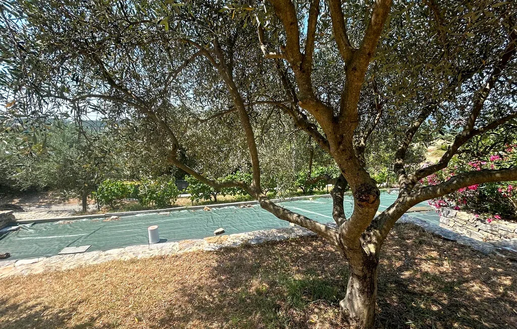 Una piscina está bajo árboles frondosos en un jardín soleado.