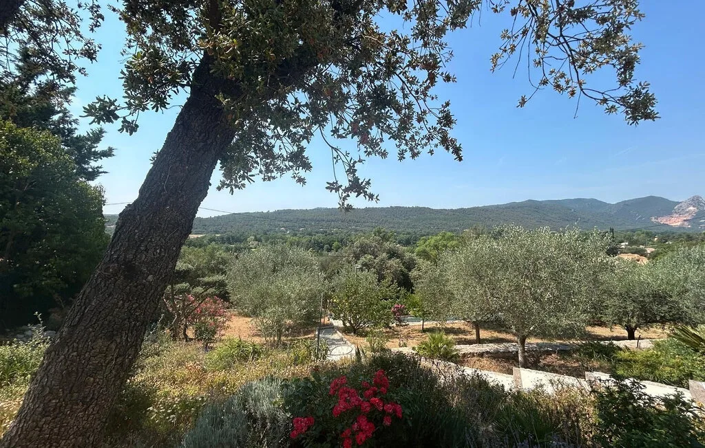 Un jardín con árboles y plantas en flor ofrece vistas de un valle verde.