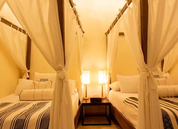 Suite León