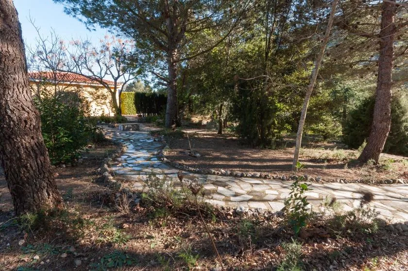 A stone path winds through a wooded garden with trees and shrubs.