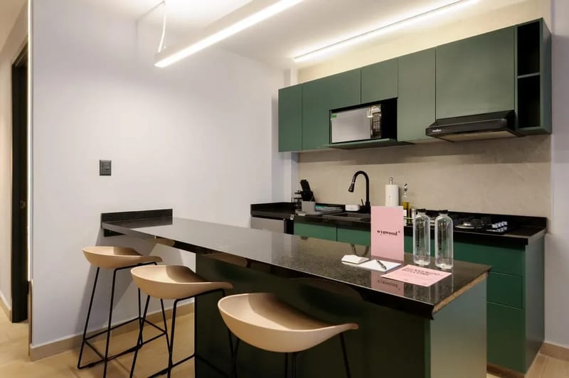 Perfect Loft with Terrace in Polanco