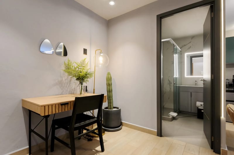 Perfect Loft with Terrace in Polanco
