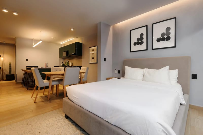 Perfect Loft with Terrace in Polanco