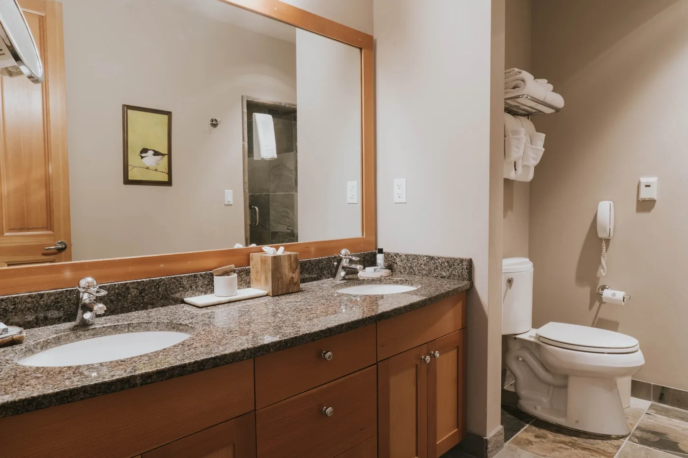 A bathroom vanity with a large mirror, beside a toilet.