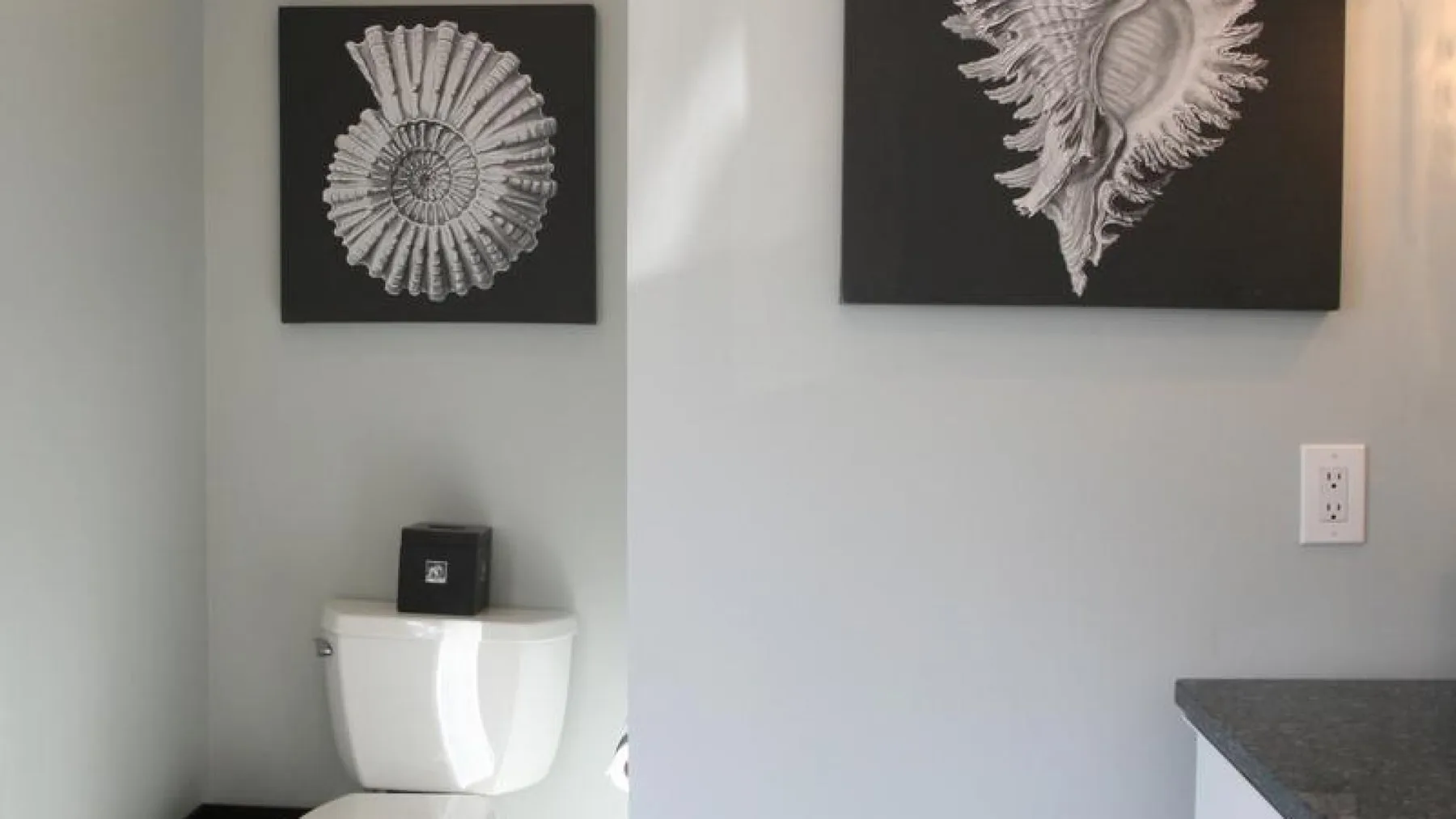Una pared de baño con un inodoro, dos cuadros de conchas y un enchufe.