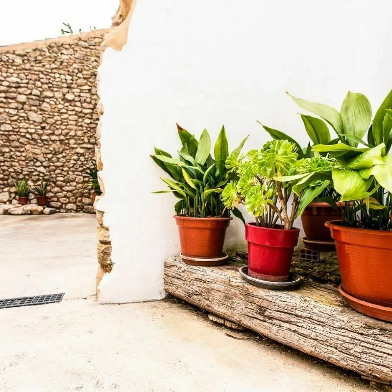 Casa Verònica accommodation