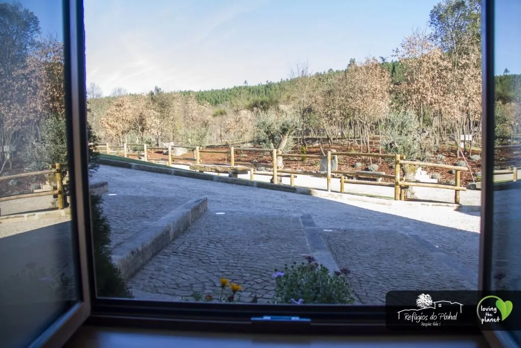 Room view