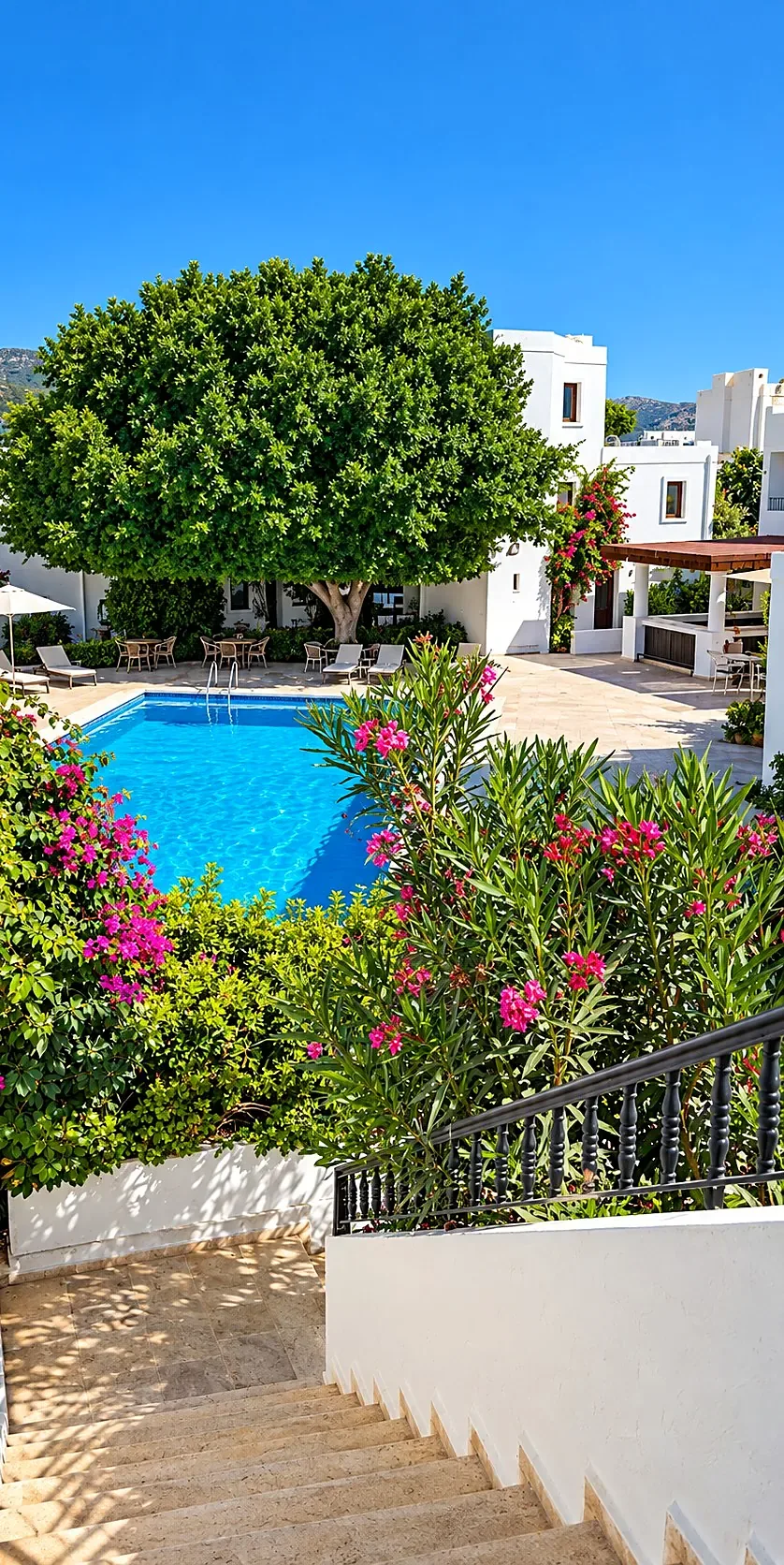 Steps from the pool into the garden