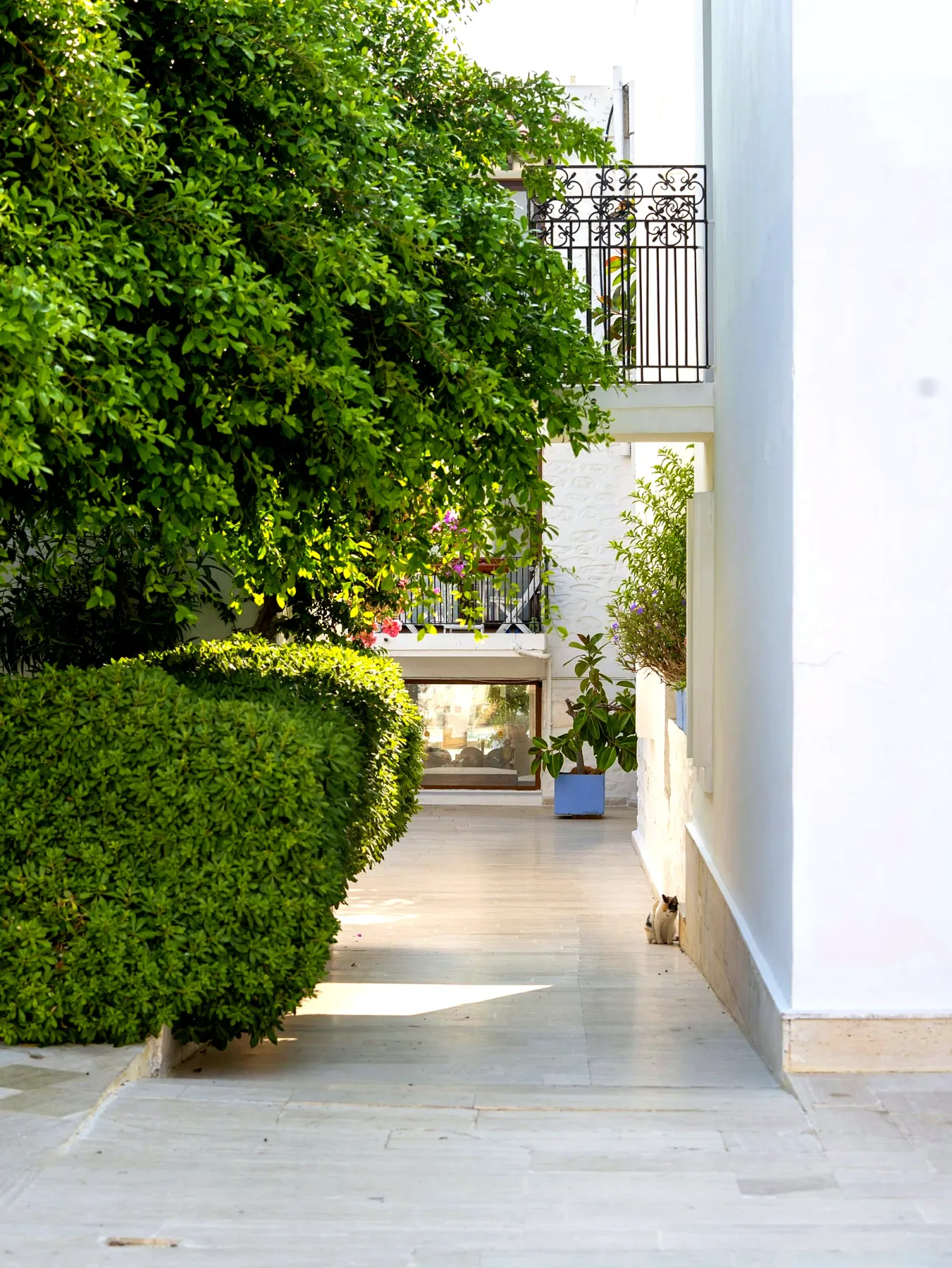Garden passage between the white buildings