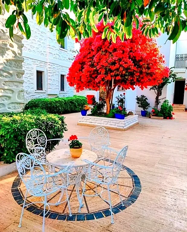 Mesa de jardín bajo una buganvilla