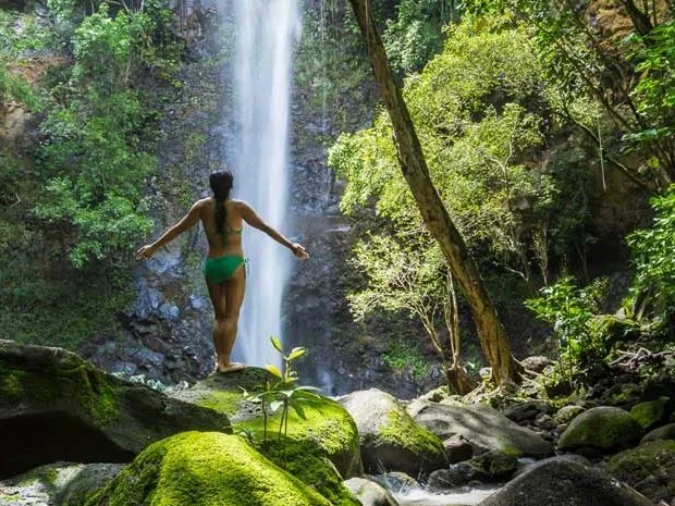 Una persona está junto a una cascada rodeada de un bosque frondoso.
