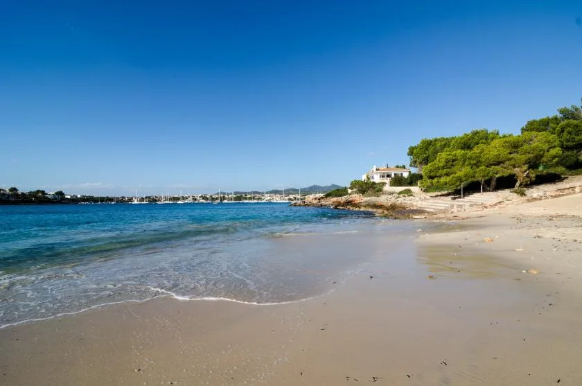 A sandy beach meets calm blue water beneath a clear sky.
