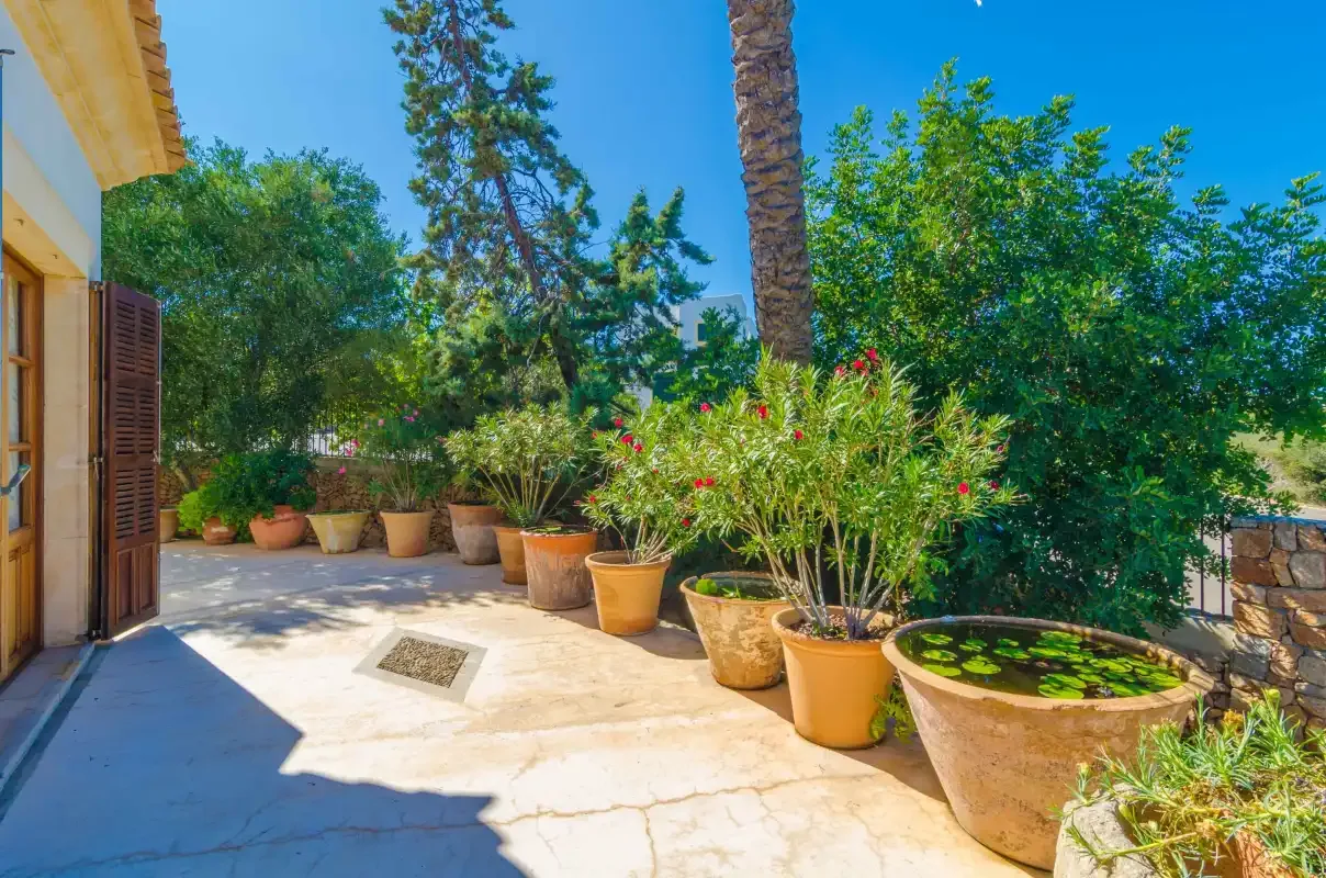 A sunlit patio with potted plants and a small water basin.