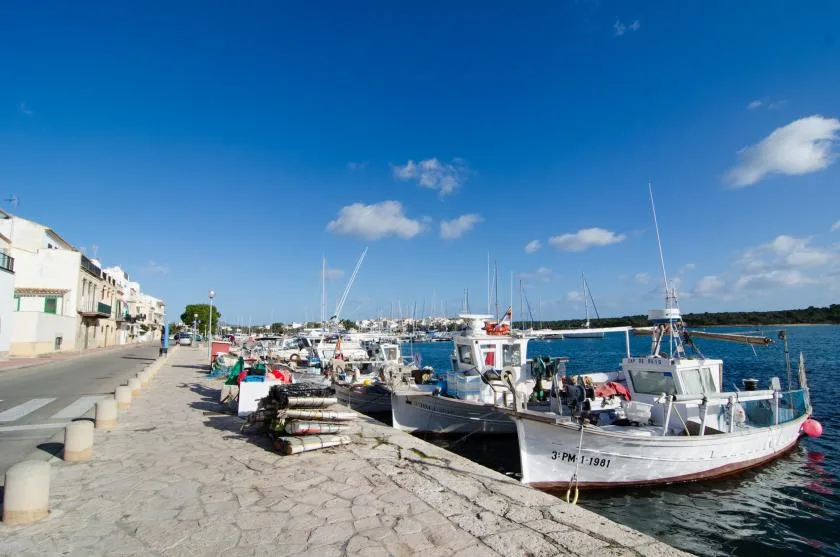 A marina promenade runs beside moored boats under a clear blue sky.