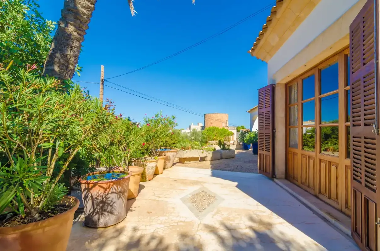 A sunny outdoor patio with potted plants beside a building with wooden shutters.