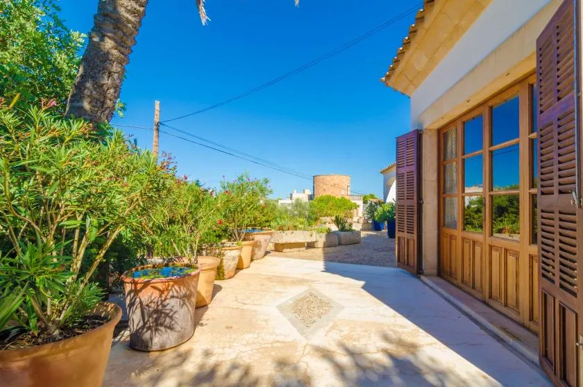 A sunlit stone patio with potted plants beside a building with wooden shutters.
