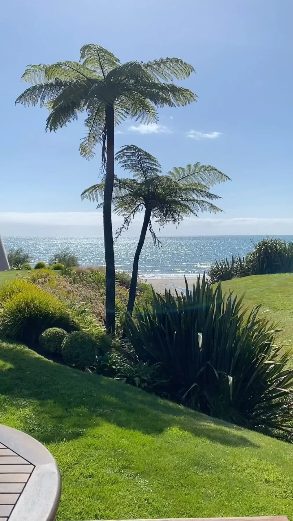 Adrift in Golden Bay