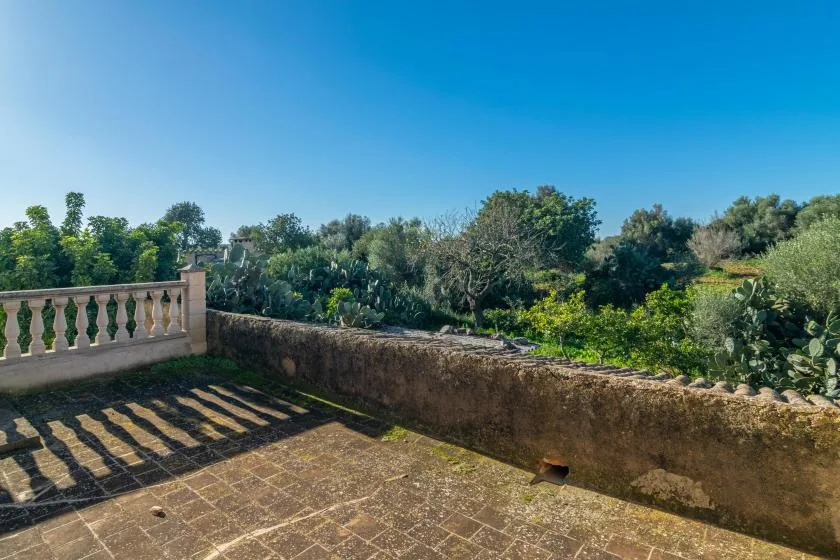 A stone-paved terrace overlooks a low wall and dense greenery.