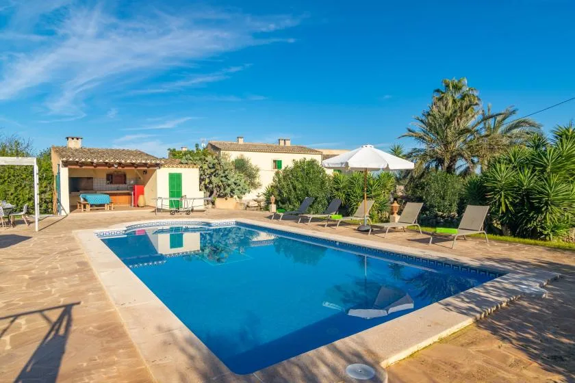 A sunlit outdoor swimming pool is surrounded by lounge seating and greenery.