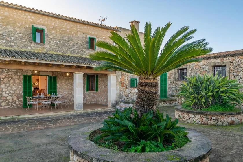 A stone courtyard with a large palm planter and an outdoor dining area.